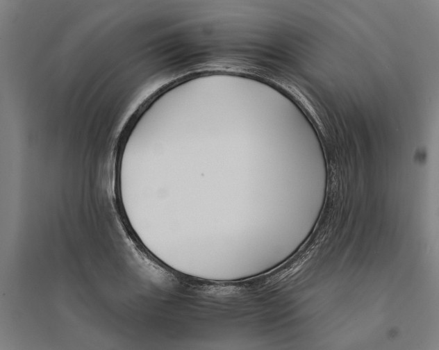 X0000094371131200711301442