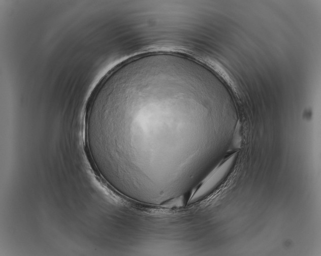 X0000094371132200711301442