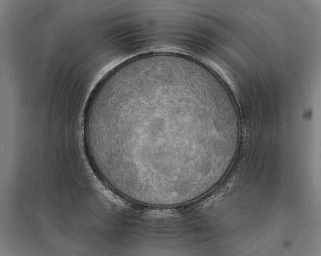 X0000094371133200711301442