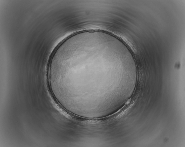 X0000094371134200711301442