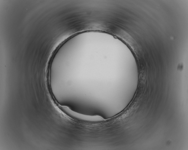 X0000094371135200711301442