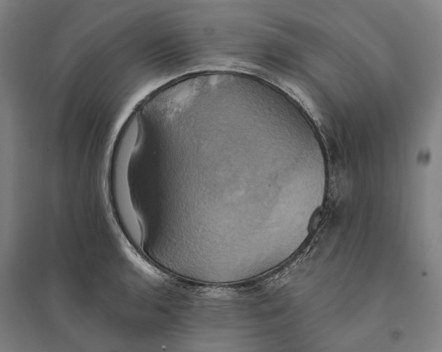 X0000094371136200711301442