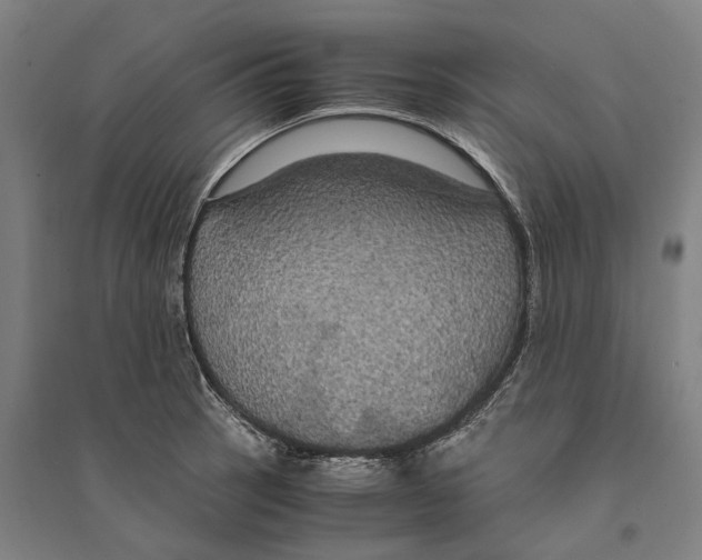 X0000094371137200711301442