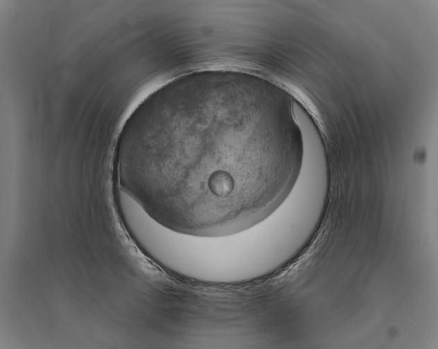 X0000094371138200711301442