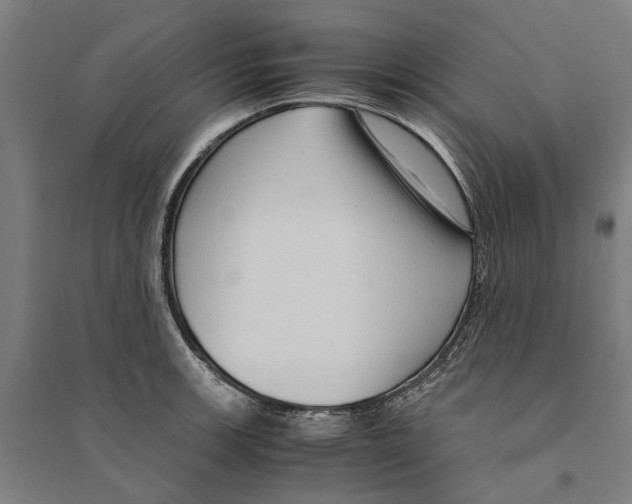 X0000094371139200711301442