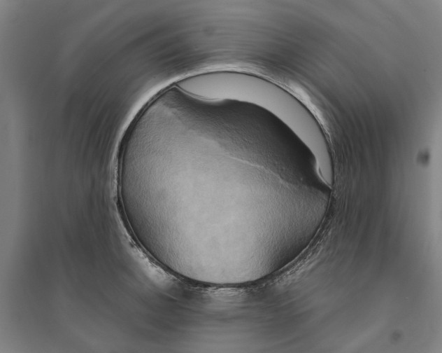 X0000094371140200711301442