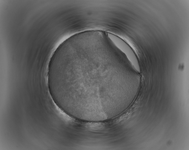 X0000094371143200711301442