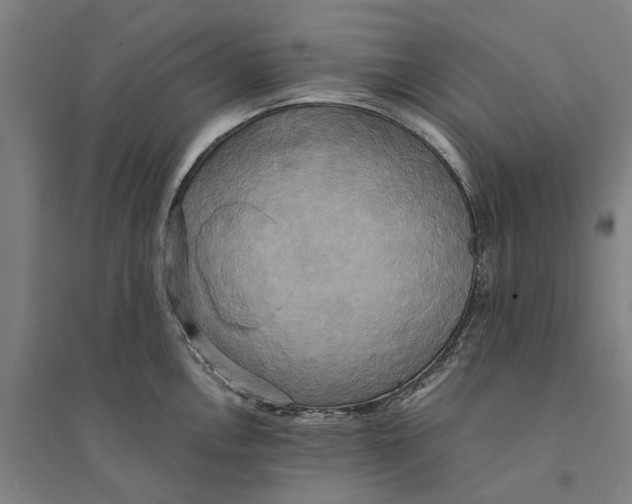 X0000094371146200711301442