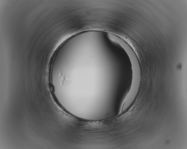 X0000094371147200711301442