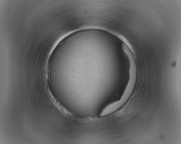 X0000094371148200711301442