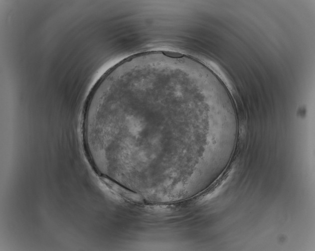 X0000094371149200711301442