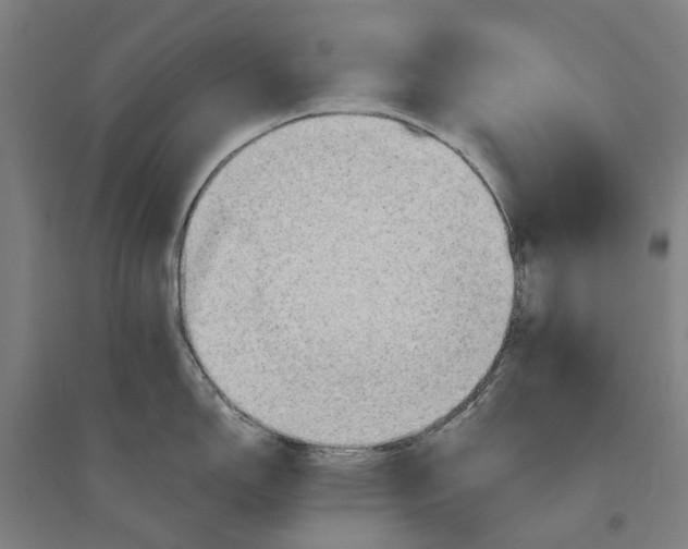 X0000094371150200711301442