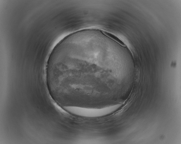 X0000094371151200711301442