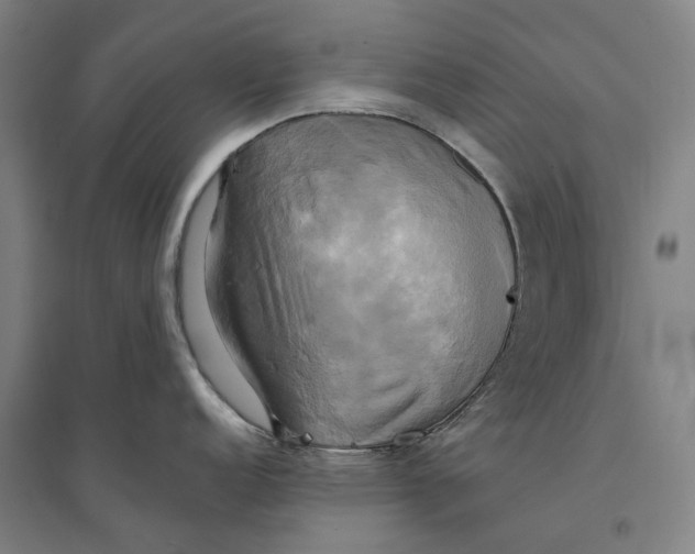 X0000094371152200711301442