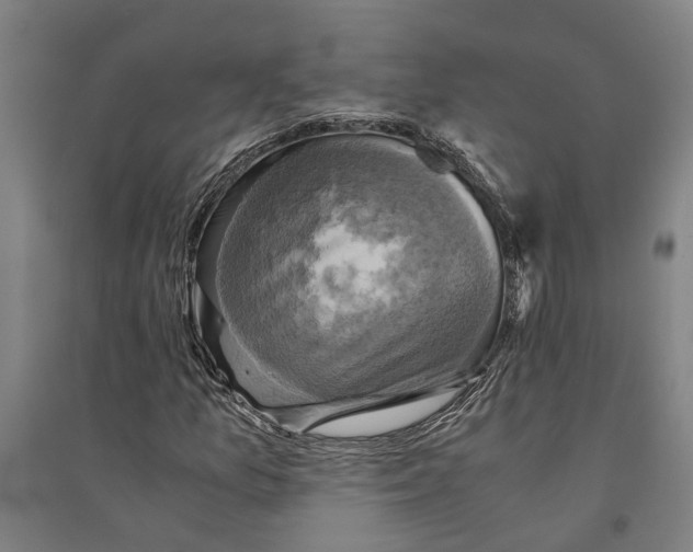 X0000094371157200711301442