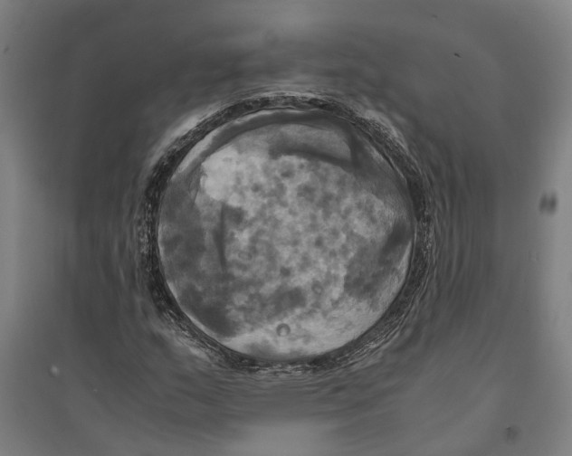 X0000094371159200711301442