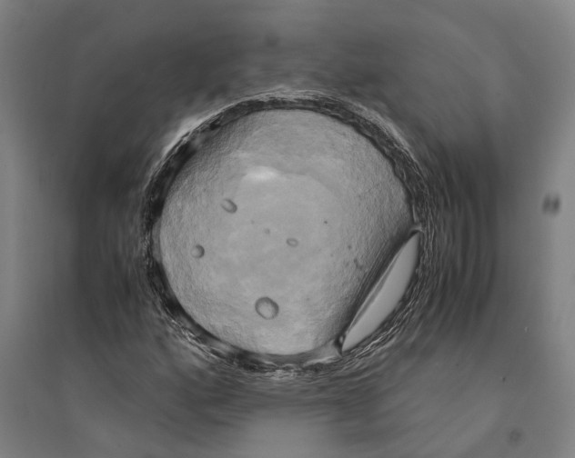 X0000094371160200711301442