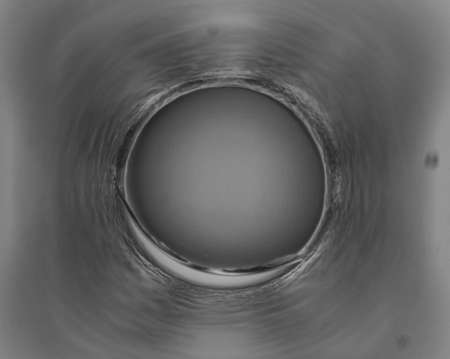 X0000094371161200711301442