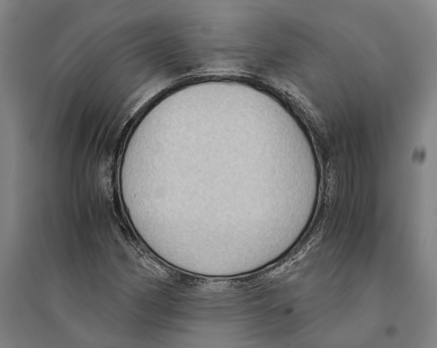 X0000094371162200711301442