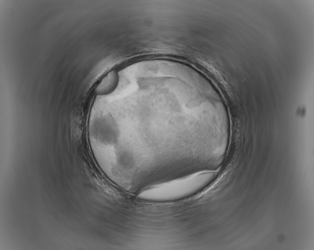 X0000094371163200711301442