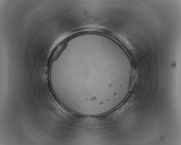 X0000094371164200711301441