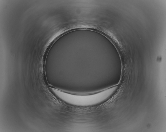 X0000094371173200711301441