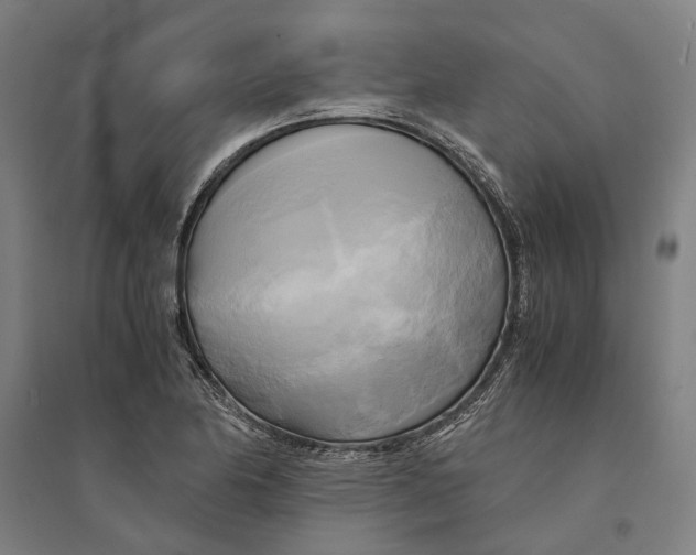 X0000094371174200711301441