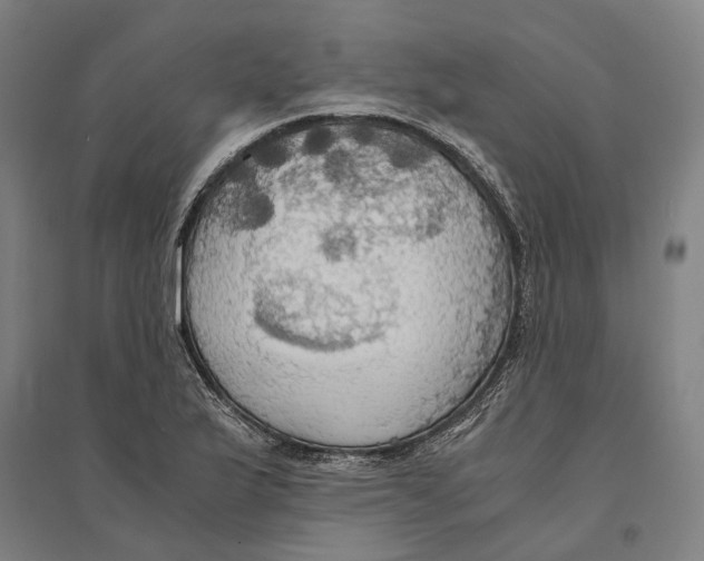 X0000094371175200711301441