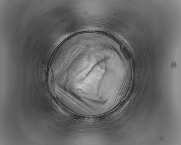 X0000094371177200711301441