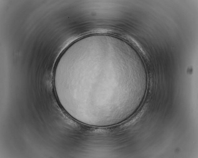 X0000094371178200711301441