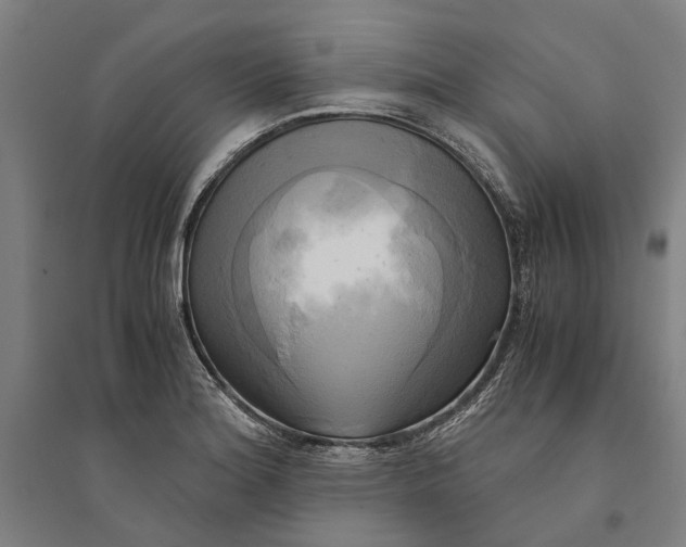 X0000094371180200711301441