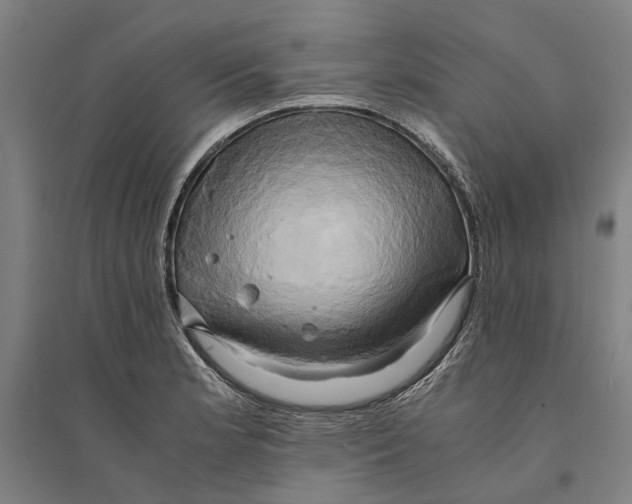 X0000094371181200711301441