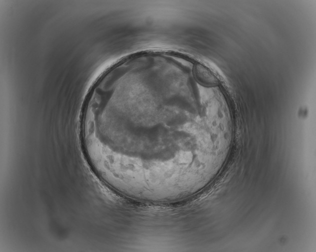 X0000094371183200711301441