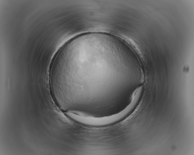 X0000094371184200711301441