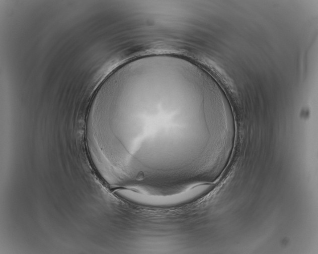 X0000094371185200711301441