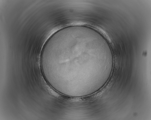 X0000094371186200711301441