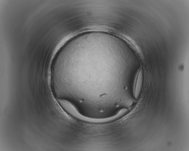 X0000094371188200711301441