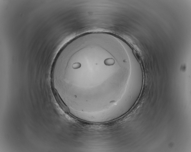 X0000094371189200711301441