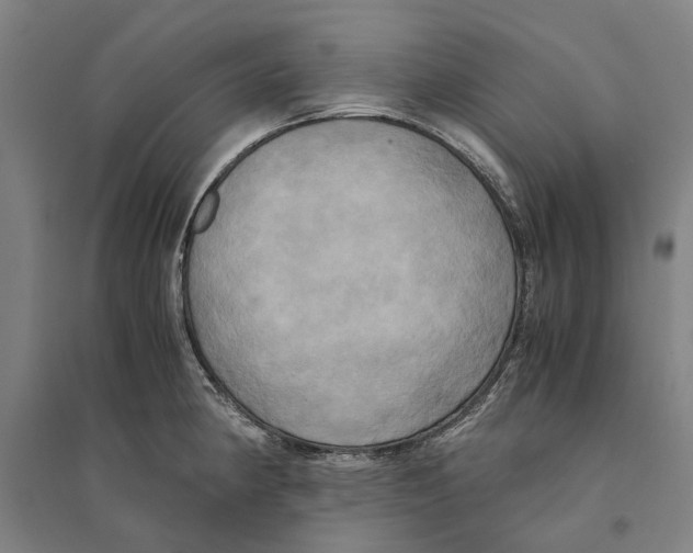 X0000094371190200711301441