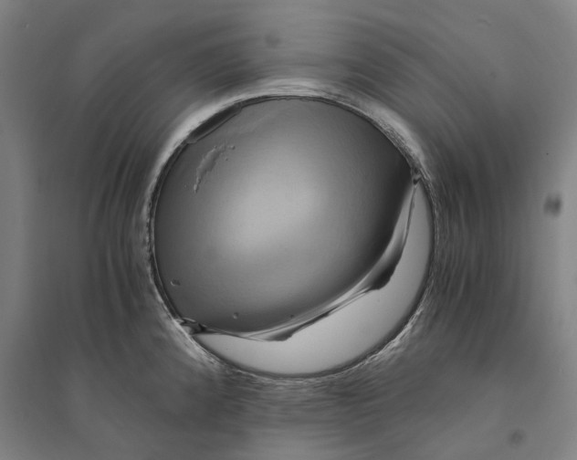 X0000094371192200711301441