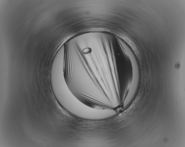 X0000094371193200711301441