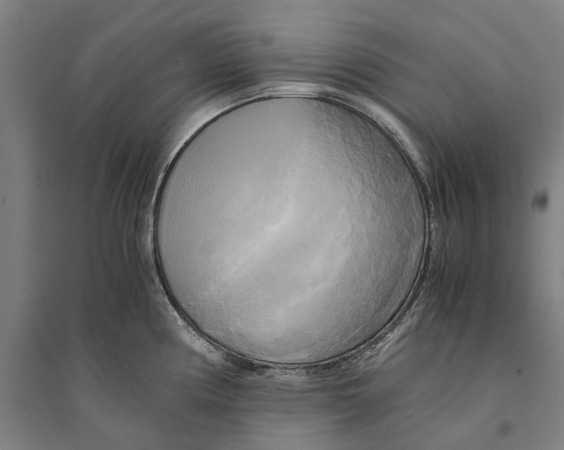 X0000094371194200711301441