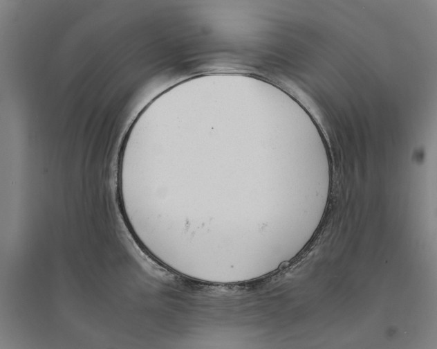 X0000094371195200711301441