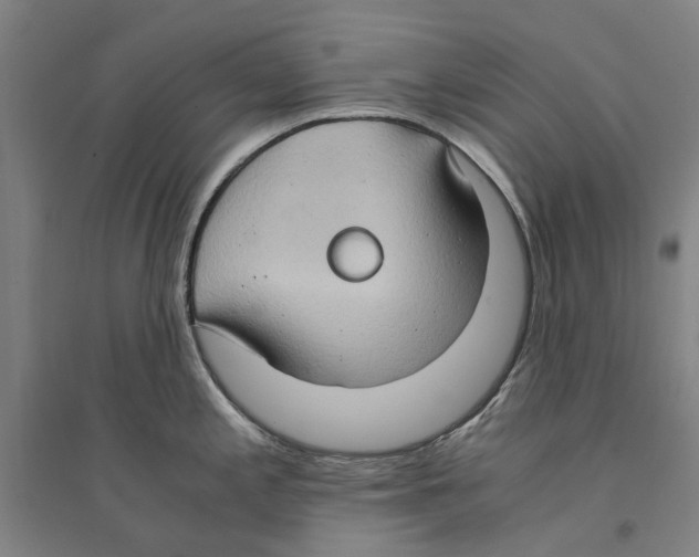 X0000094371197200711301441