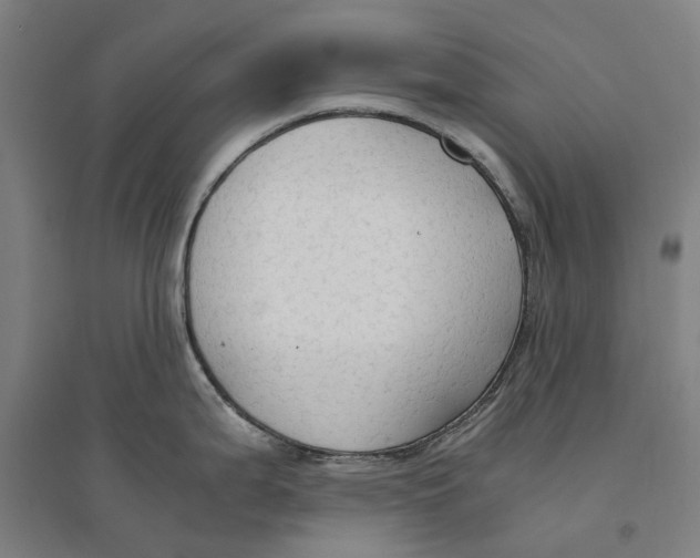 X0000094371199200711301441