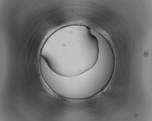 X0000094371200200711301441