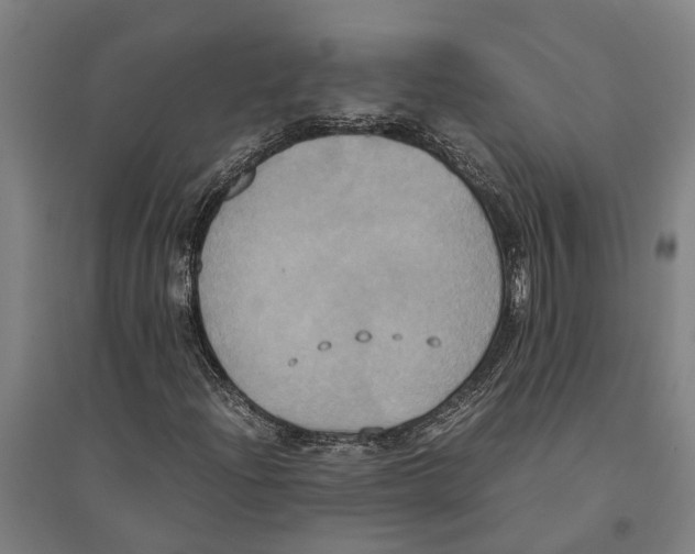 X0000094371204200711301440