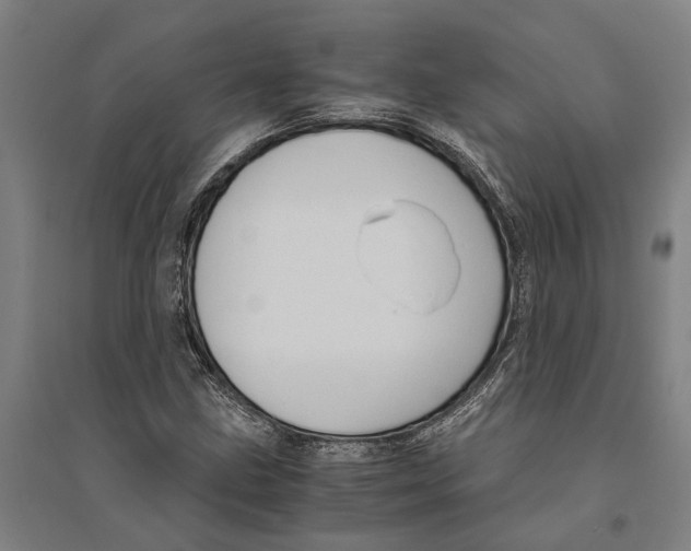 X0000094371211200711301440