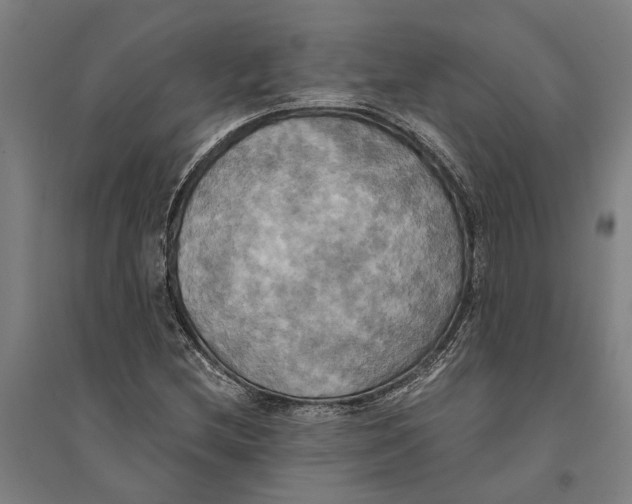 X0000094371212200711301440