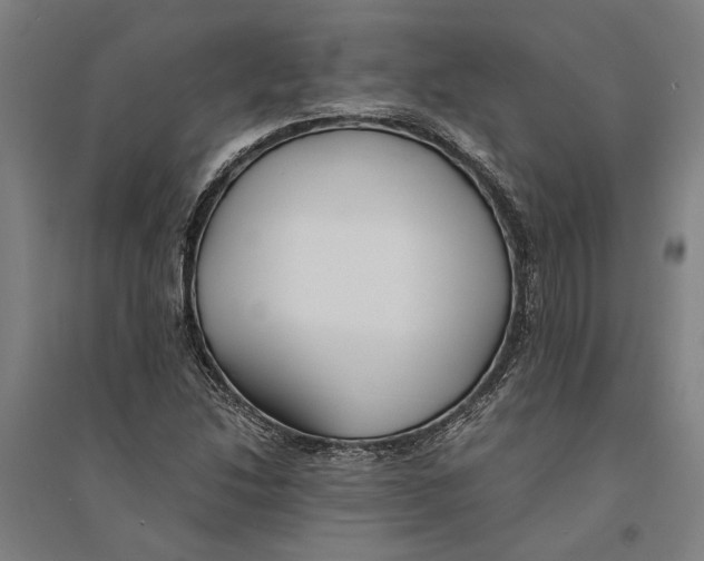 X0000094371214200711301441